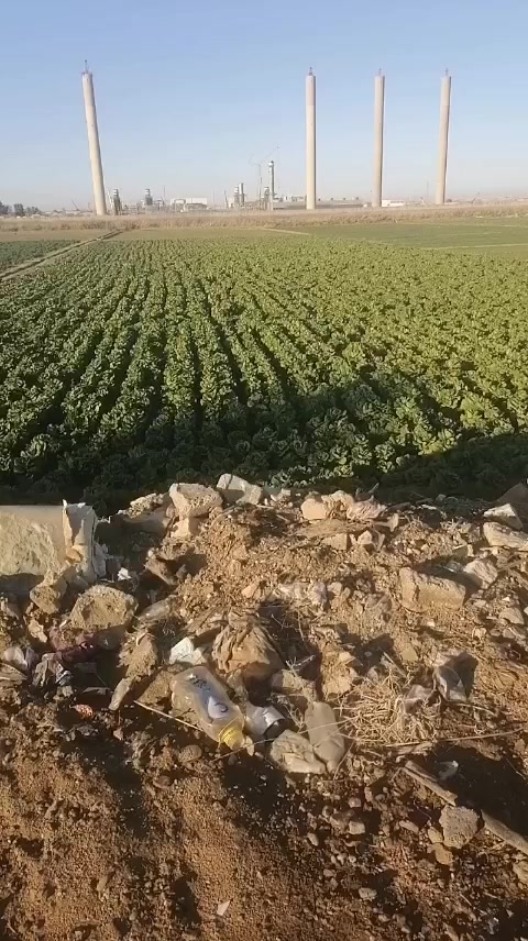 دوانم عدد 2للبيع 

العنوان الرمادي زويغير مقابل الطاقة 

طابو زراعي تحويل مباشر 

باقي التفاصيل بل الفيديو 

الاتصال ‏‪***********‬‏
