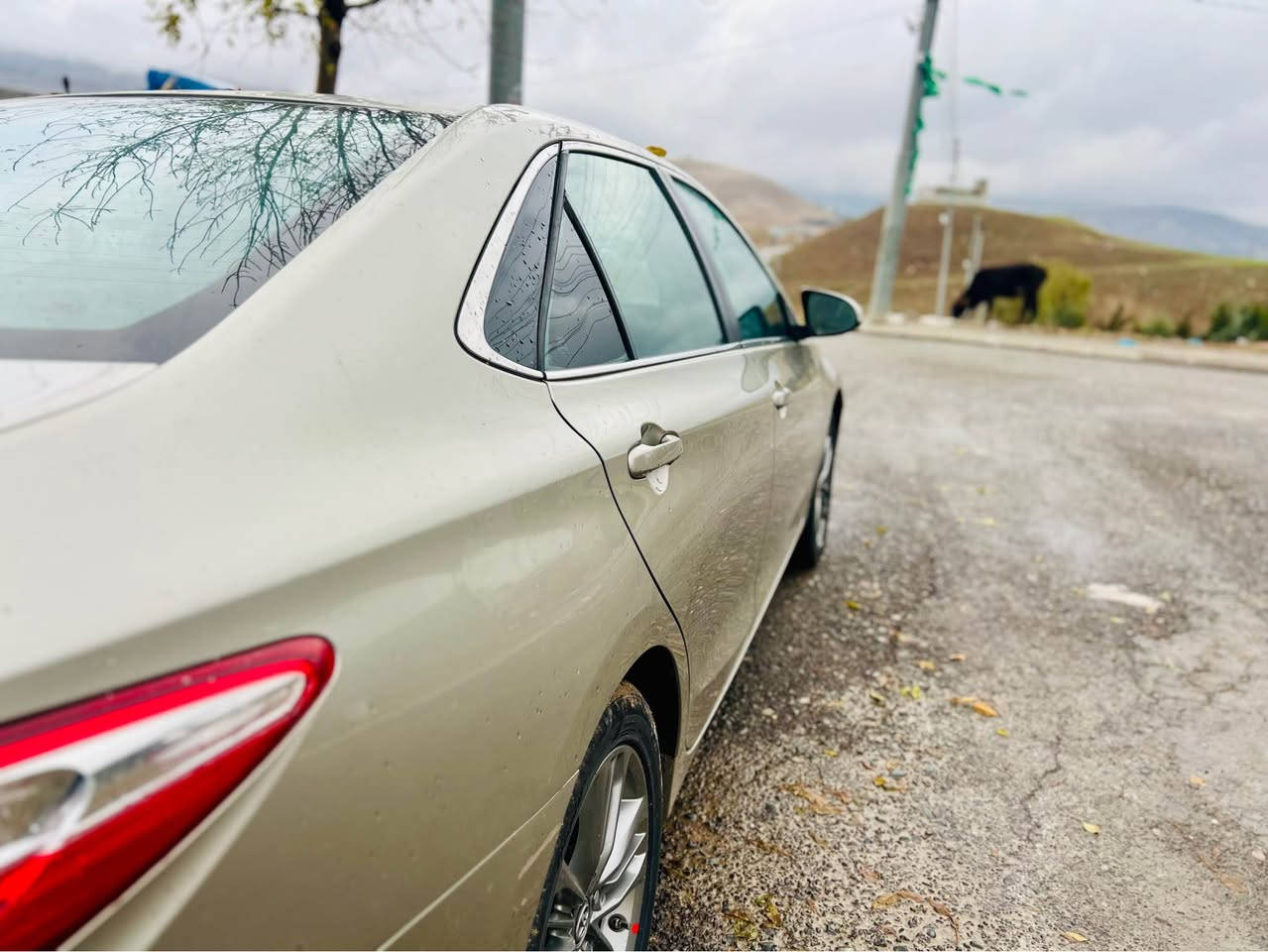 کامری ٢٠١٦ SE دوپارچە بۆیاخ گێرو مەکینە بە شەرت  بێ مەسرەفە ڕەقەمو سەنەوی تازەیە بەشەرتی تەحویل   بیتاقەی بەنزینی هەیە  نرخ ١٣٨ وەرەقەو مەجال 
 *********** كركوك, العراق
