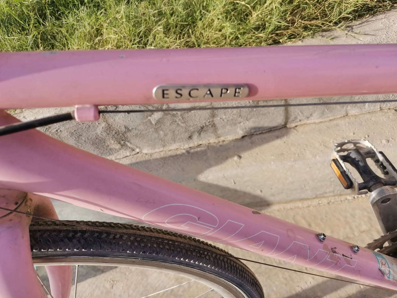 بايسكل من ماركة Giant
-عدد السرعات 8
-مكينه شيمانو الأصلية 
-نوع الهيكل ألمنيوم خفيف الوزن جدا 
-يعتبر بايسكل هجين بين التنقل و السرعة
-لون زهري
البايسكل نضيف و استعمال قليل و سبب البيع لان راح أسافر
السعر 220الف وبي مجال للطيبين


**إذا كنت صاحب هذا الإعلان وتريد حذفه لأي سبب، رجاءا أرسل رسالة إلى الدعم الفني**