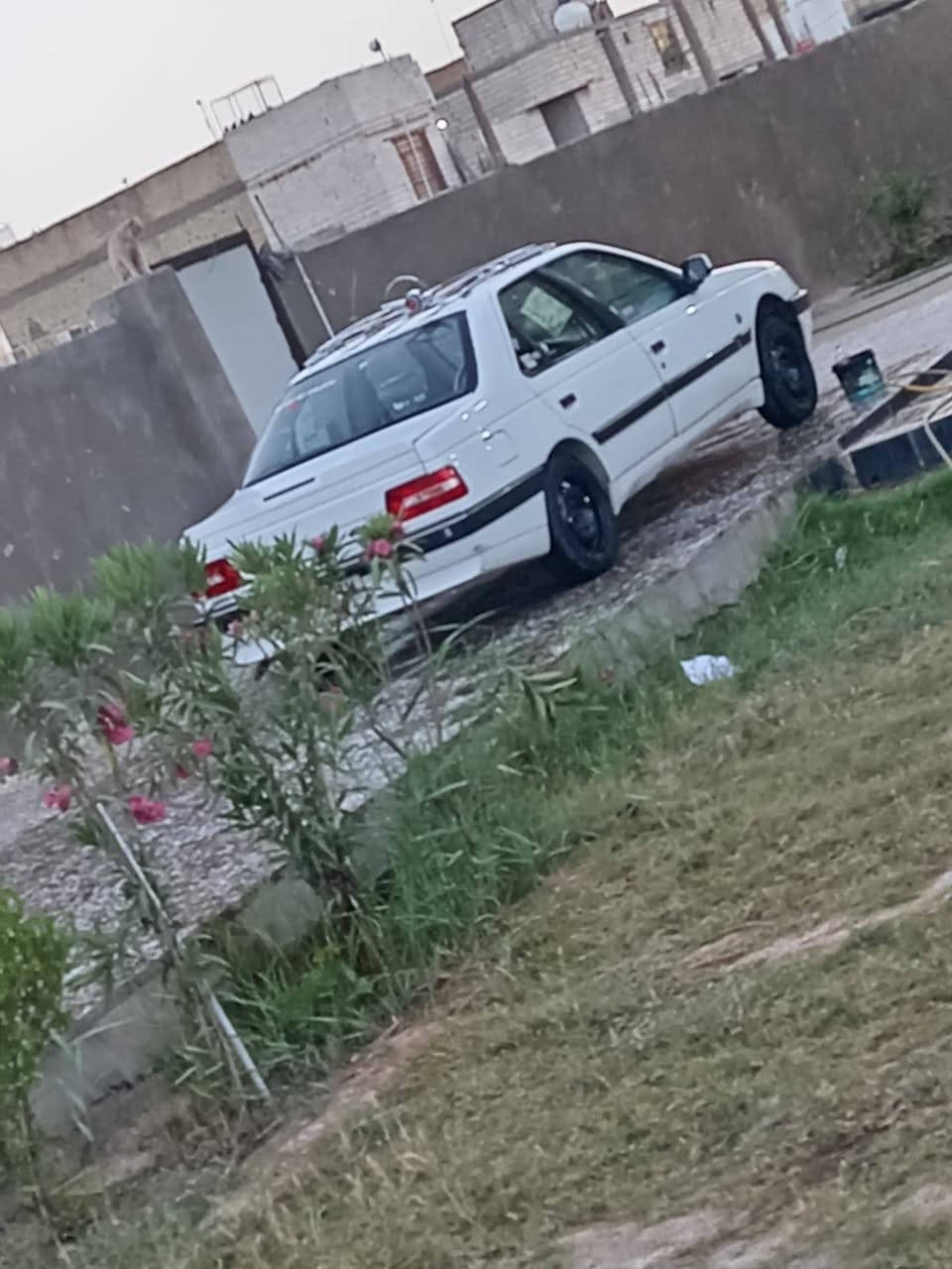 سلام عليكم بيجو لميس 13 رقم بغداد بيه جاملغ الكدام مكينه شاد طابوكه جديده كير فرنسي تخم تاير حداديه جديده غرفه مغلفه كله كشنات خليه ارضيه جلد كاعيه سفاري سيبايه حيدره سحاره شلعه شك الكاع سعره 41 وبيه مجال لطيبين مكاني بابل رقمي ***********
