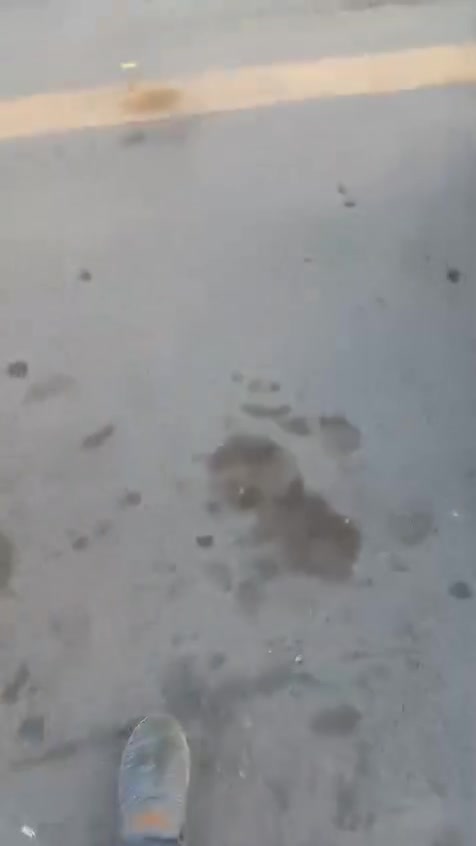 السلام عليكم بيجو البيع كير محرك تأيرات صدر كله جديد موديل ١٠ سعر ٣٨ مكان سياره بغداد الحسينيه ***********
