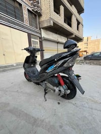 ماكس • مكفولة • فحص