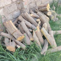 حطب تكي • يابس • حمل ستوته