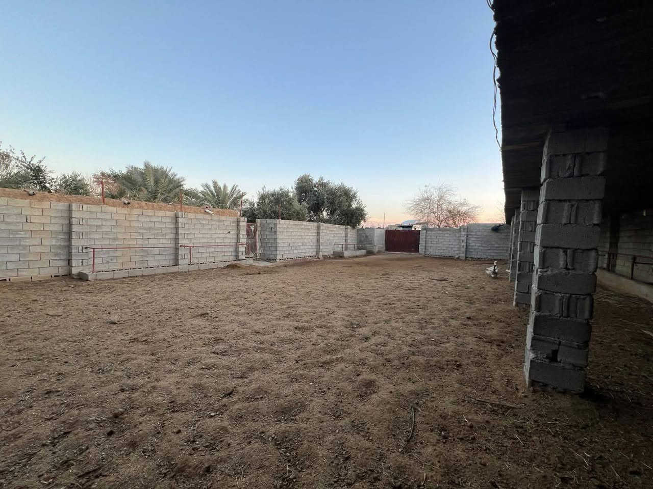 #اعلان
حقل ربط عجول   للبيع
مساحه الحقل تقريبا ٤٥٠ م2
مع ٣ غرف طين كمخزن للعلف
المساحه الكلية تقريبا ٦٠٠ م2
واصل كهرباء وماء
والطريق واصل للباب مال الحقل

الموقع /خلف مدرسة دبيس مباشرةً
السعر عالمراهم
للاستفسار الاتصال على الرقم***********
