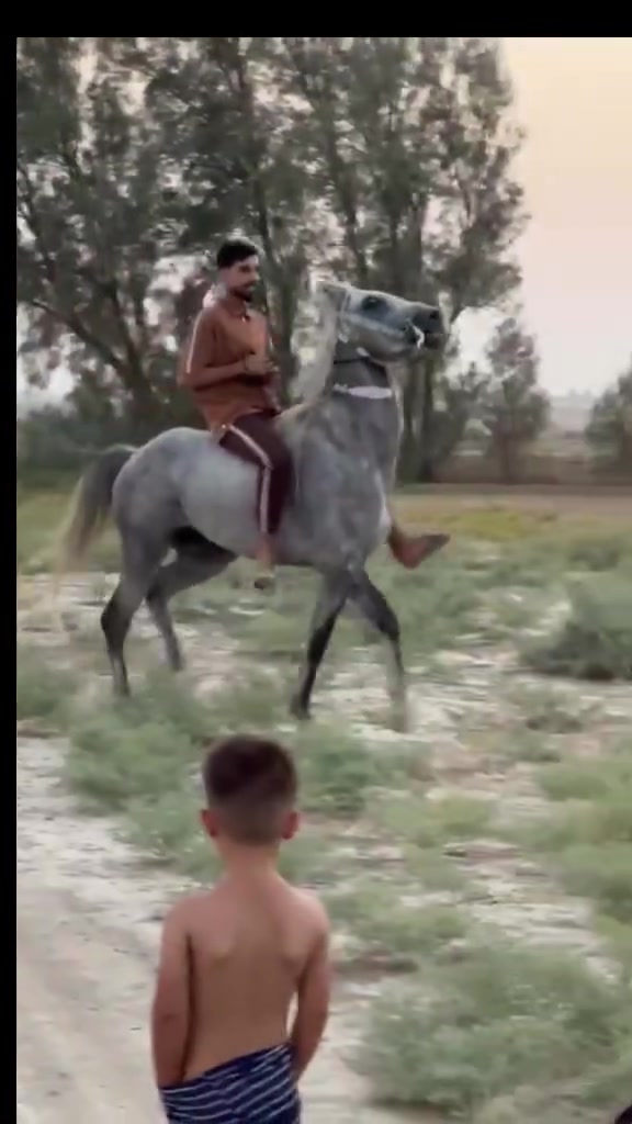 عمي  وين جنايت الصايل حصان كحيلان البرك كتابه عله ضهره شرط الخياله ولشبوه حصان مال كشخه رتفاع 154//////***********///////***********
