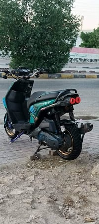 سكنس جبلي • موديل ١٤ • مرتبه