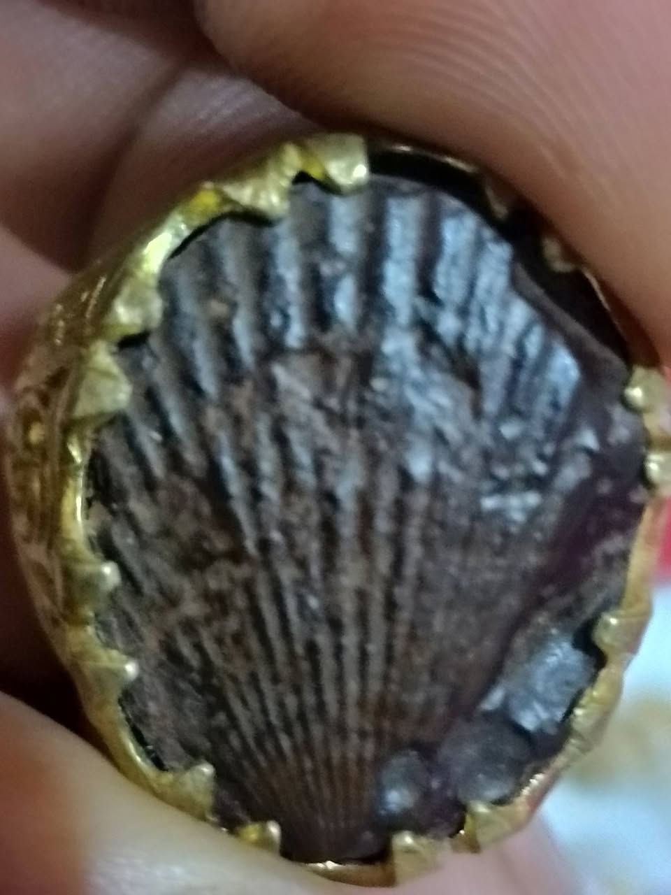 سلام عليكم
متوفر هبهاب مغربي وعطف خام اصليات مصيوغات على خام نحاس صياغه ثقيله 
وناب الذيب اصلي شغال 
متوفر توصيل جميع المحافظات 
للاستفسار. ***********
