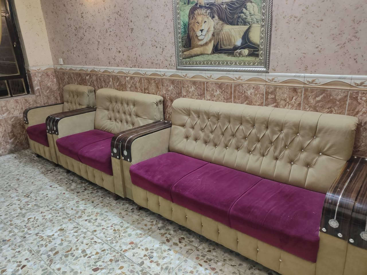 تخم للبيع مو سوكي تفصال
سعر 400وبي مجال ***********
