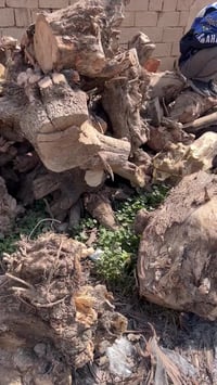 #ادمن وافق يرحم والديك الله يرزقك لان هذا رزقنا الي عنده خشب للبيع فحم...