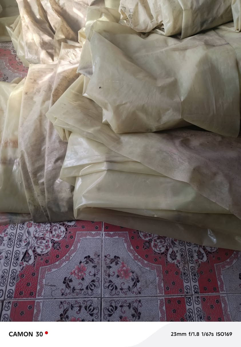 السلام عليكم
بيوت بلاستيكية عدد 3 البيت 22 قوس اردني 
كاملات هنه ونايلونهن 
العنوان الناصريه الغراف ***********
