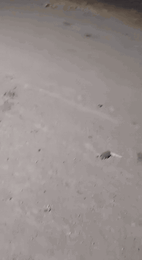 يالله سلام عليكم بيت مساحه البيت م150البيت بنه بلوك سنه  البنه 2023 سكف البيت سندويج الساس كله مسلح يتكون البيت من غرف 2+ديوانيه +صاله مفتوحه ع المطبخ صحيات داخليه وخارجيه عنوان الدار التنومه صالحيه قرب سيد جابر سعر الدار 53وبي مجال هاتف ***********
