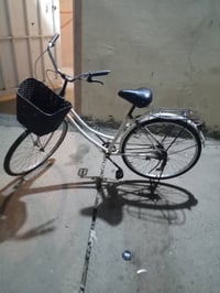 باسكل • حجم ٢٦ • ديالى