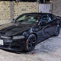 دعاميات SXT • مصبوغات • مراوس GT