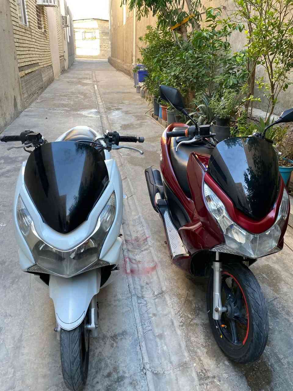 سلام عليكم دراجات بس سي اكس للبيع عنواني بغداد نقوصات بسيطه دراجات قفلهن ثنينهن ابيع شلع نقوصات بسيطه دراجات كلش حلوات سعرهن مليونين وبيهن مجال هذا رقمي وتصل وبيك خير ودلل ***********
