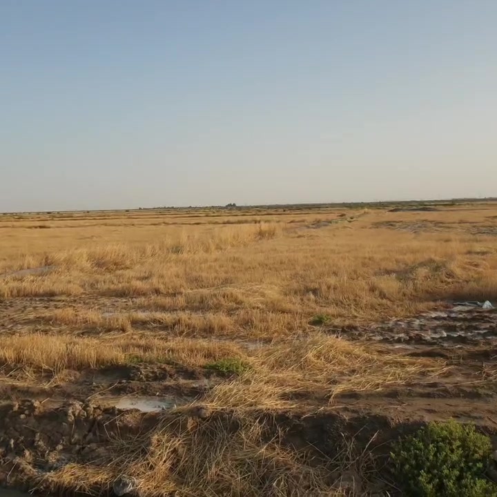 السلام عليكم ورحمة الله وبركاته 
سفير البيع 
***********
حياكم الله

