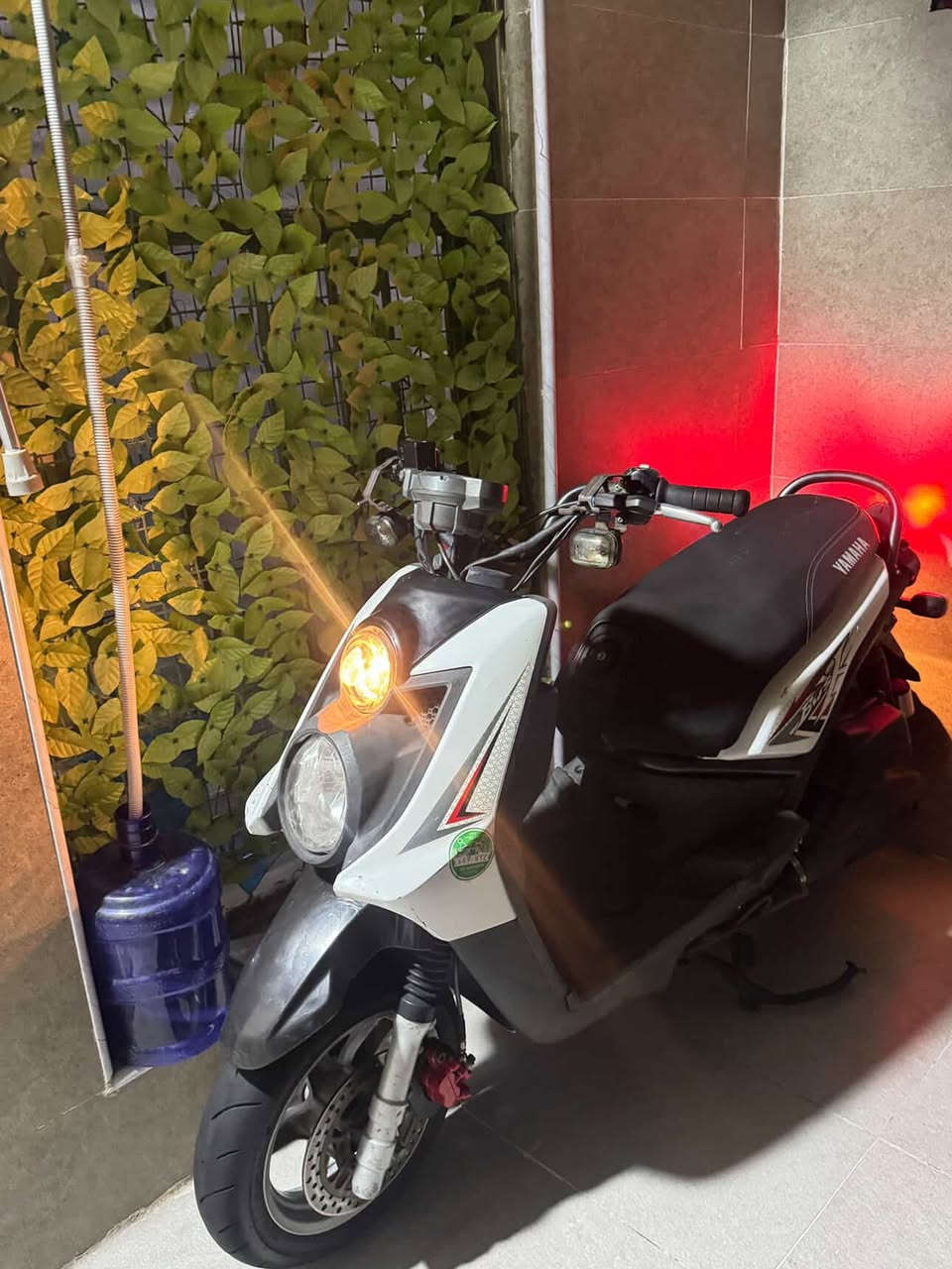 السلام عليكم سنكنس جبلي رياضي للبيع ، موديل 2011 دراجة كاملة مبدل ماشة فقط وشرط اصلية مال تفصيخ من دراجة ثانية اوراقها موجودة (منفيس) السعر مليون و 100 وبيها مجال للشراي باقي التفاصيل خاص


**إذا كنت صاحب هذا الإعلان وتريد حذفه لأي سبب، رجاءا أرسل رسالة إلى الدعم الفني**