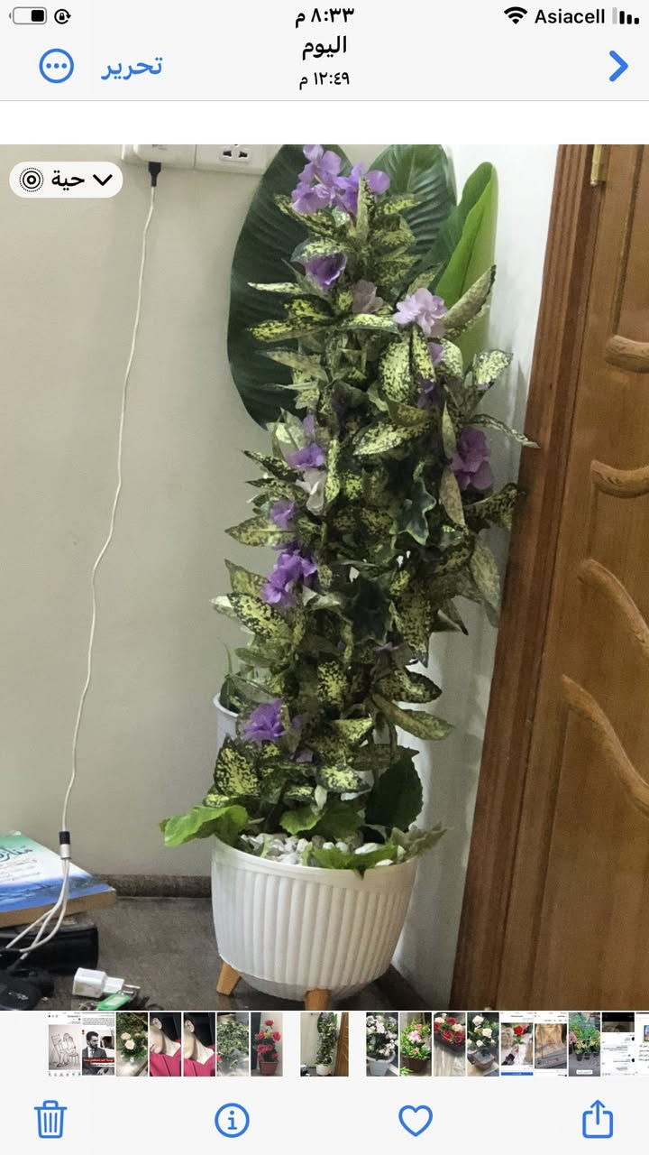 للبيع بغداد الشعب


**إذا كنت صاحب هذا الإعلان وتريد حذفه لأي سبب، رجاءا أرسل رسالة إلى الدعم الفني**