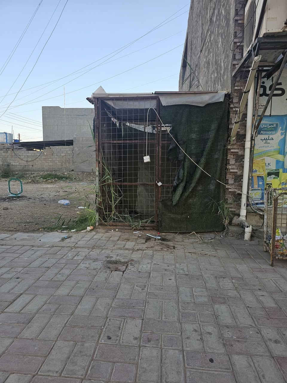 للبيع
***********  وتساب
