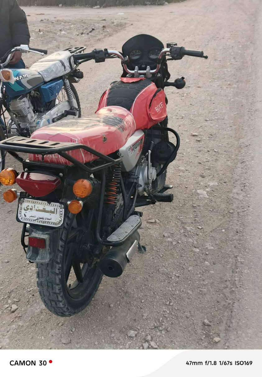 بوكسر 20جبلي اوراق اصولي
مكاني بابل ***********
