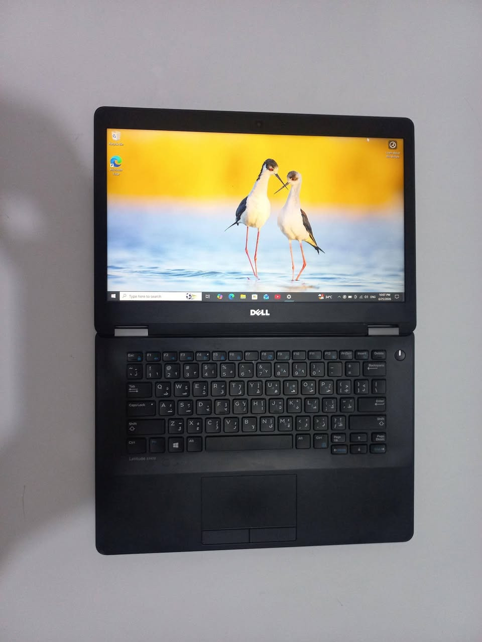 📢 للبيع لابتوب Dell Latitude E7470 بحالة جيدة جداً 💻
✅ المواصفات:
الموديل: Dell Latitude E7470
المعالج: Intel Core i5-6300U @ 2.40GHz
الرام: 8GB RAM
التخزين: 256GB NVMe SSD
كرت الشاشة: Intel HD Graphics 520
شاشة 14 إنج
نظام 64-bit
كيبورد عربي + إنكليزي
✅ مميزات الجهاز:
سريع بالإقلاع والتشغيل بفضل SSD
مناسب للدراسة والعمل وبرامج الأوفيس والتصفح والبرامج اليومية
شاشة واضحة وأداء ممتاز
تصميم عملي وخفيف وسهل الحمل
الجهاز نظيف وجاهز للاستخدام مباشرة
الفحص متاح عند الاستلام
📍 الموقع: ديالى - جديدة الشط
📞 للتواصل: ***********
