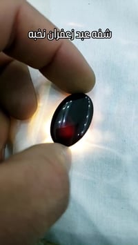 معامل ابويوسف • جملة • مفرد