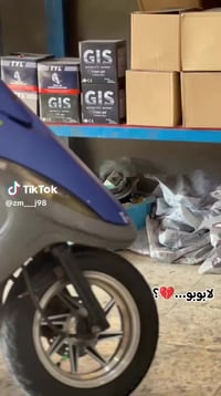 ماكس • عدله • كفاله