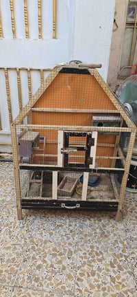 قفص عمارة • ميسان