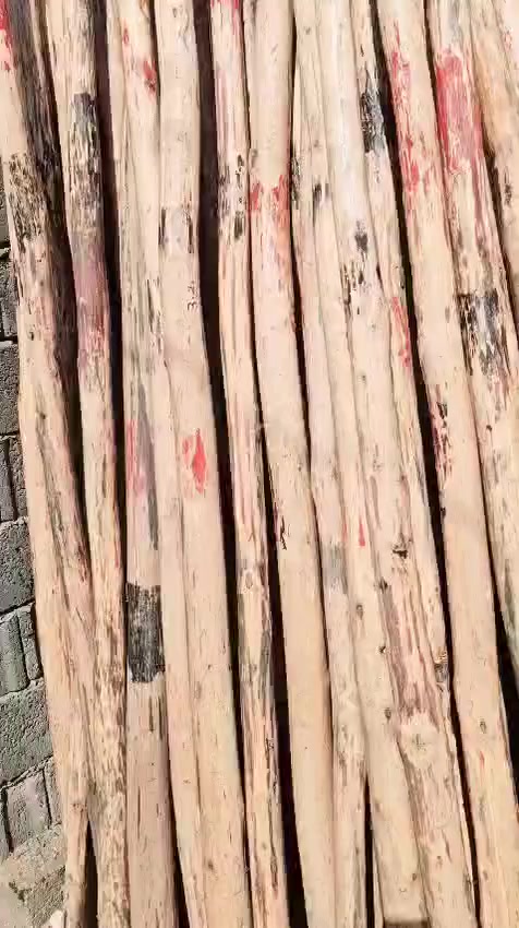 سلام عليكم تكم البيع انواع القياسات مثل ما موجود بل صور مكان بابل ابو غرق  سعر الزوج 7000وبيها مجال كلش بسيط حك الجيه
رقم تلفون ***********
