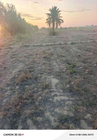 ٧دونم • طابو سند ٢٥ • العزيزية الدير