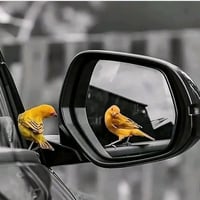 ورحمه الله وبركاته  مطلوب سائق تكتك.TVS #من_الحي_حصرا التكتك ٢٢ رقم وك...