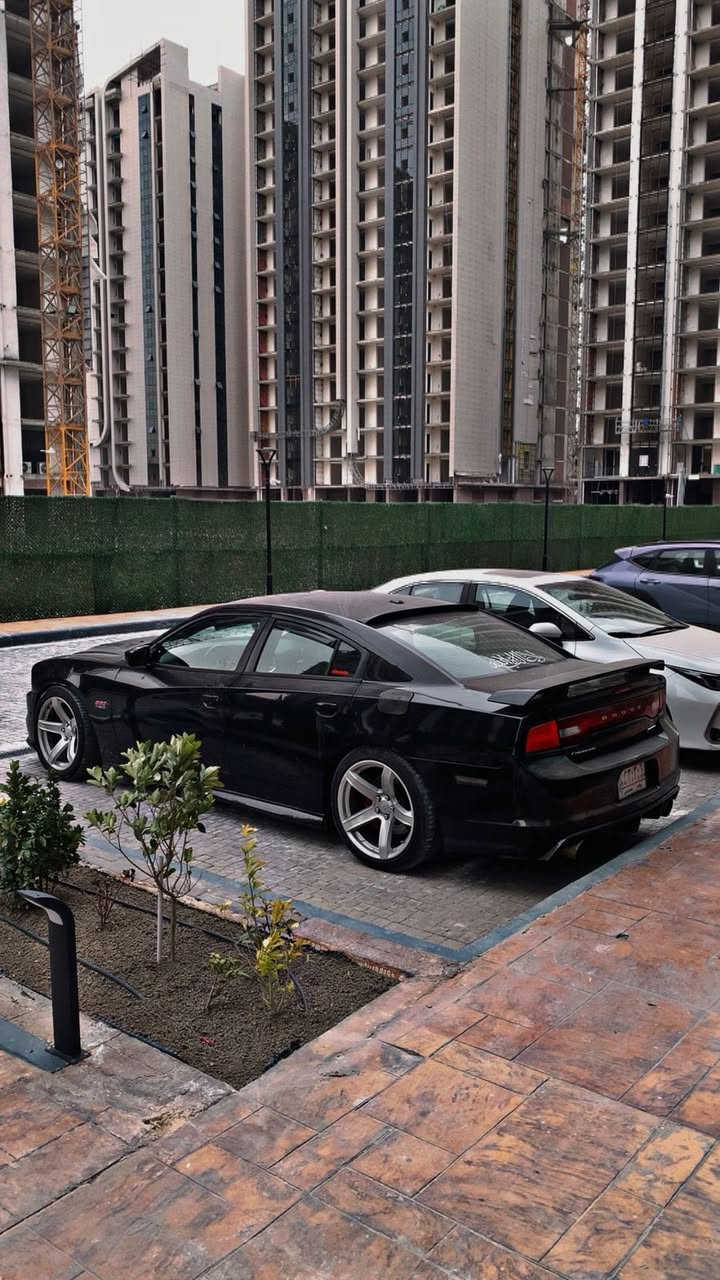 السلام عليكم

دوج چارجر 2013     srt 6400

للبيع او مراوس حسب القناعه 

السياره فول مواصفات للاخير 

1_رقم شبه مميز 

2_تشغيل عن بعد

3_رادارت

4_مري قلاب وية البك

5_فتحة سلايت 

6_كشنات تدفئة تبريد 

7_كشنات حضن مخمل +جلد

8_كشنات خزن ميموري 

9_كشنات خلفية تدفئة

10_حساسات خلفية 

11_شاشة كبيرة + كامرة 

12_حامل اكواب تبريد + هيتر 

13_ويل نجمة خسفة قوية حجم 20 

14_منضومة زنون + عين الشيطان + عدسات 

شوتة موبار اصلي 

وبعد بيهة هواي مواصفات ماذكرتهن 

السيارة عليها تفريغ 

فجوج برمبو 

حادثها بأمريكا فقط بنيد بالعراق انطخ الجاملغ واستبدلته بقطعة اصلية نفس اللون 

باب السائق بيها شخط 

السيارة بيها ملاحظات بسيطة جدا

السعر 165 وبيها مجال بسيط 

رقم الهاتف ***********
