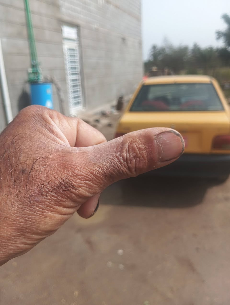 سايبه 12رقم تجف احمر راعيه موجود بيع ماوس حسب القناعه عارضه 16وبيه مجال هاذه رقمي ***********بيه واتساب
