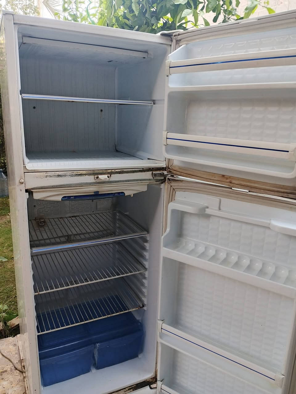 ثلاجة مستعملة للبيع
ثلاجة 16قدم نضيفة شغالة كاملة تجميد 

السعر 200الف وبيها مجال

الموقع سبع ابكار ويوجد توصيل بكروة 

للتواصل ***********
