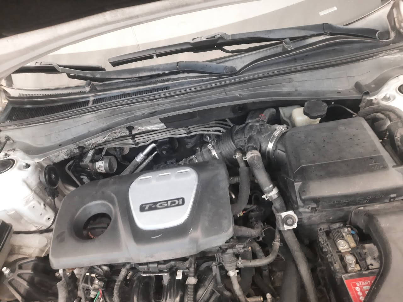 ابتمه مديل  ١٦  وارد امريكي بغداد  بسمي  فول موصفات ماعدا الفتحه  بيه صبق ٥ قطع بدوان داخل فاقط صبق  مكفوله من مكينه وكير وحداديه  السعر  ١١٠ الاستفسار ***********
