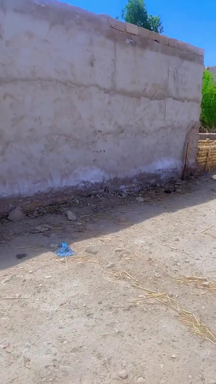سلام عليكم ورحمة الله وبركاته دار البيع زراعي مساحه 230نزال 23ولوجه 10خلف معارض ال نصار سعر 25الستفسار ***********
