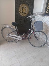 بيسكل • ياباني • حجم ٢٨