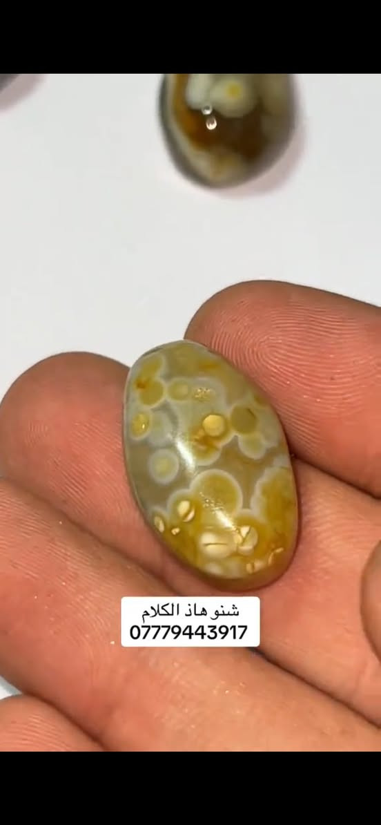 سليماني هندي بيهن مصورات رقم الواتساب*********** متوفر توصيل و الي يريد يجي للبيت احطه على راسي
