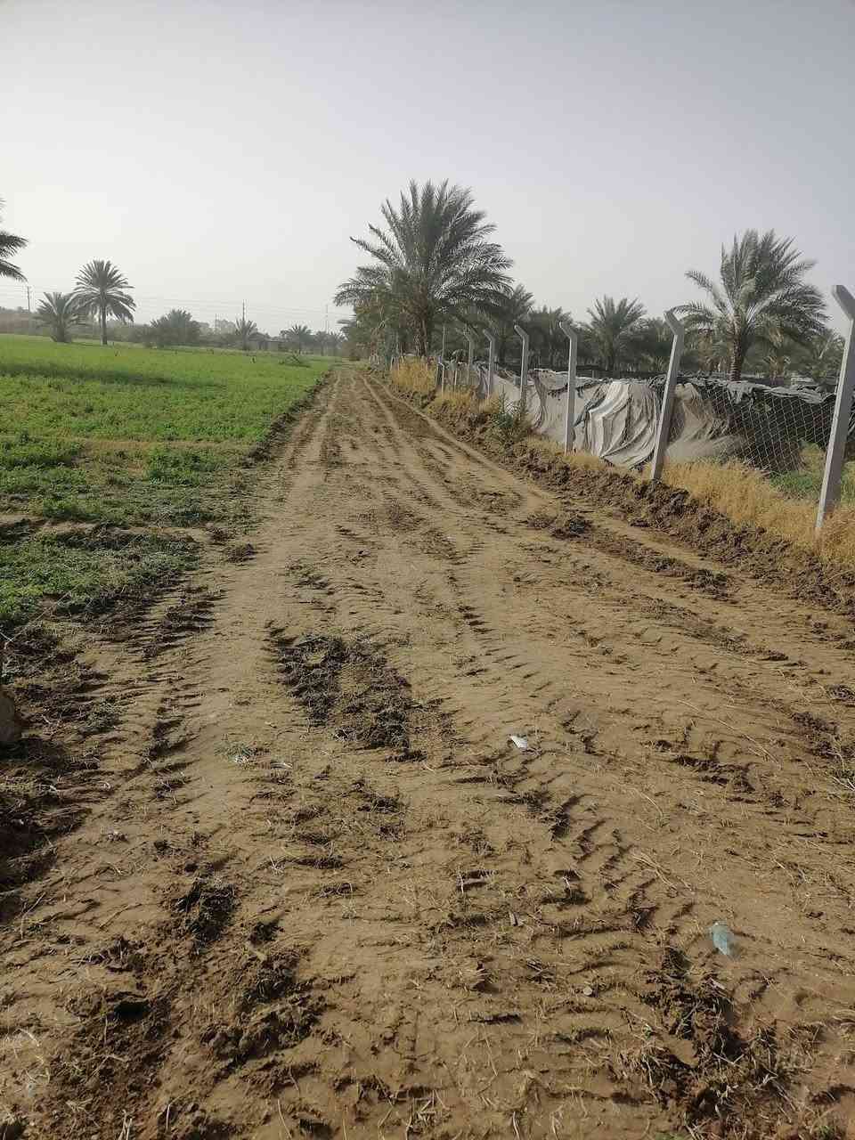 سلام عليكم ورحمة الله دونم ونص  بابل جبله فرع مصلخ ثاني قطعه يعني ٥دقايق بسوك ماء نهر  رساله  كهرباء كافه الخدمات تجي وشوف  *********** و*********** و***********
