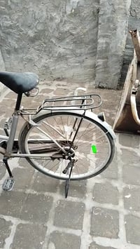 بايسكل • وردية • الحله