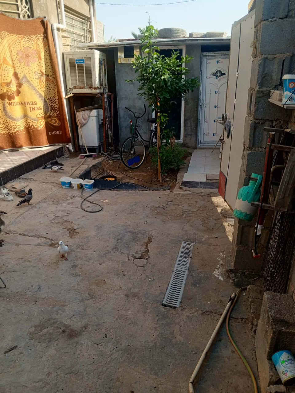بيت طابقين طابو زراعي ملك 25  للبيع المكان كربلاء خلف مدينة الزائرين سيد الاوصياء طريق بغداد يبعد عن الامام 8 كيلو ويبعد عن طريق بغداد 1كيلو البيت مع الاثاث مكون من 5 غرف +استقبال+ صالات 2 + مطبخ +3صحيات+4 حمامات + مناور 2+ ساحه في المقدمه +صطح صغير وصطح كبير  اما الاثاث سبالت عدد6+ بردات على عدد الشبابيك+ كاونتر مطبخ + مراوح سقفيه عدد9+ غرفة خشاب حديثه + ماطور ماء وكيزرات 3+ 3تانكيات ماء سعة الواحد 1000 لتر السعر 250 الشراي يتصل على الرقم *********** غير متواجد ع الفيس
