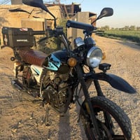 ديوان جبلي • ٢٠٢٤ • كامله