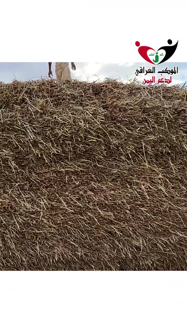 للعام الثامن، جهود مباركة من "الموكب العراقي لدعم اليمن" لتوفير أضاحي العيد. ساهم وياهم بـ 100$ للخروف، وراح يوصلك فيديو توثيق لأضحيتك على الواتساب. 📹
للمساهمة والتواصل مع الموكب مباشرة:
📞 ***********
