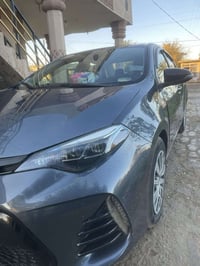 كورلا امريكي • ٢٠١٩ • محرك مكفول