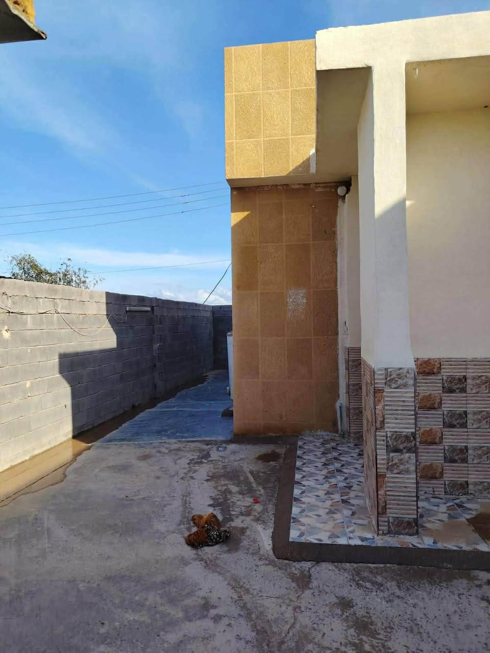 البيع الجزيرة البشعبان قرب جامع الجليل 

مساحة البيت الف 380 متر بناء حجر 
السعر 90 وقابل التفاوض 

الاتصال ***********
