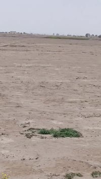 الشيخ عامر • ٢٥٠٠م • للبيع