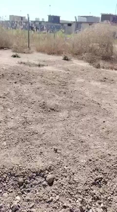 سلام عليكم ورحمه الله وبركاته اخواني عندي قطعه ارض للبيع مساحتها 110 الرقم *********** السعر ع خاص
