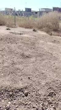 ورحمه الله وبركاته اخواني عندي قطعه ارض للبيع مساحتها 110 الرقم 077443...