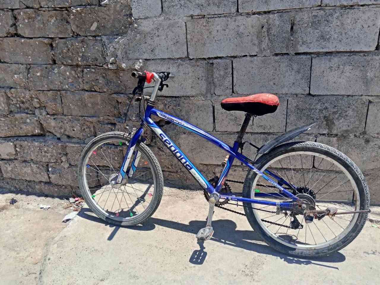 باسكل ياباني للبيع حجم 22


**إذا كنت صاحب هذا الإعلان وتريد حذفه لأي سبب، رجاءا أرسل رسالة إلى الدعم الفني**