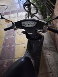 عصفورية • قليلة الاستخدام • مكفول