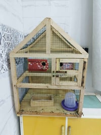 قفص • زينة بيت • للبيع